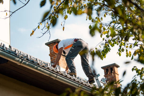 Best Commercial Roofing Services  in Denmark, WI