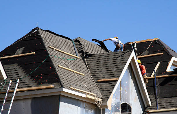 Best Roof Replacement Cost  in Denmark, WI