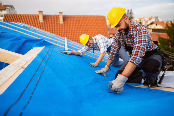 Best Roof Waterproofing Services  in Denmark, WI
