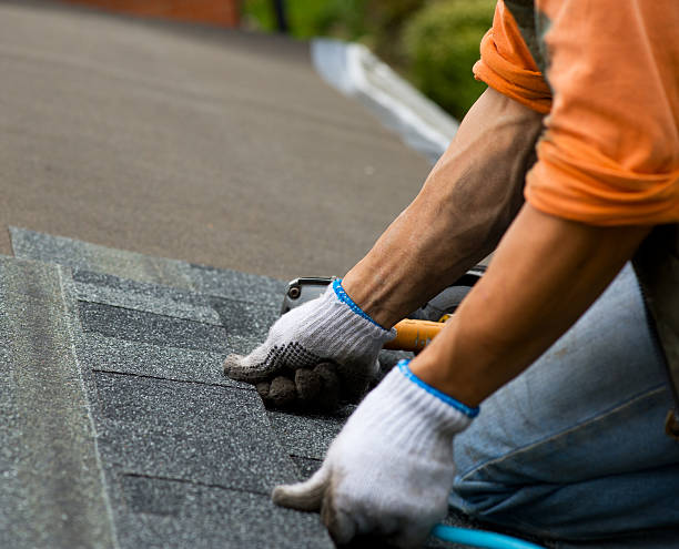 Best Tile Roofing Contractor  in Denmark, WI