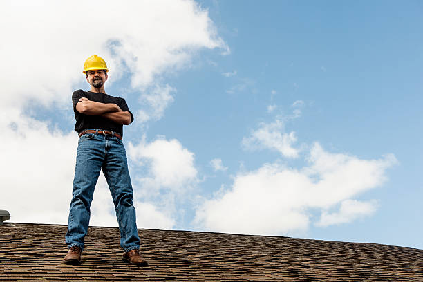 Best Roof Leak Repair  in Denmark, WI