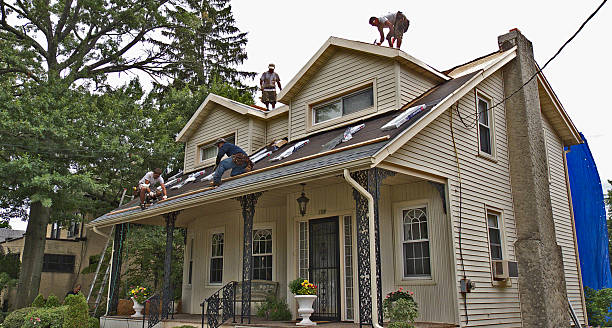 Best Flat Roof Repair Services  in Denmark, WI