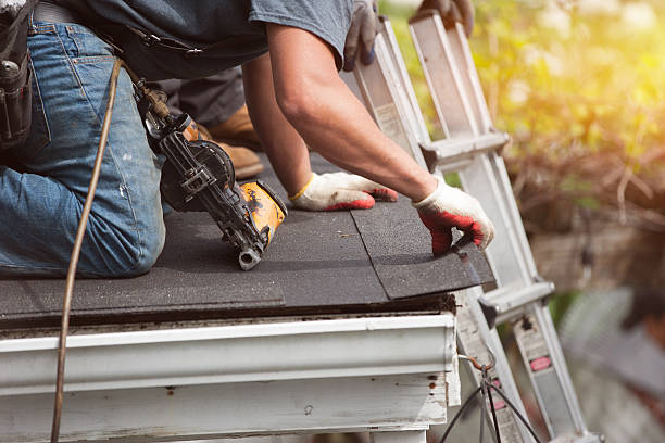 Best New Roof Installation  in Denmark, WI